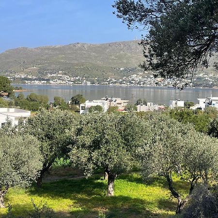 The Velanidies - Οι Βελανιδιές Agia Marina  Esterno foto