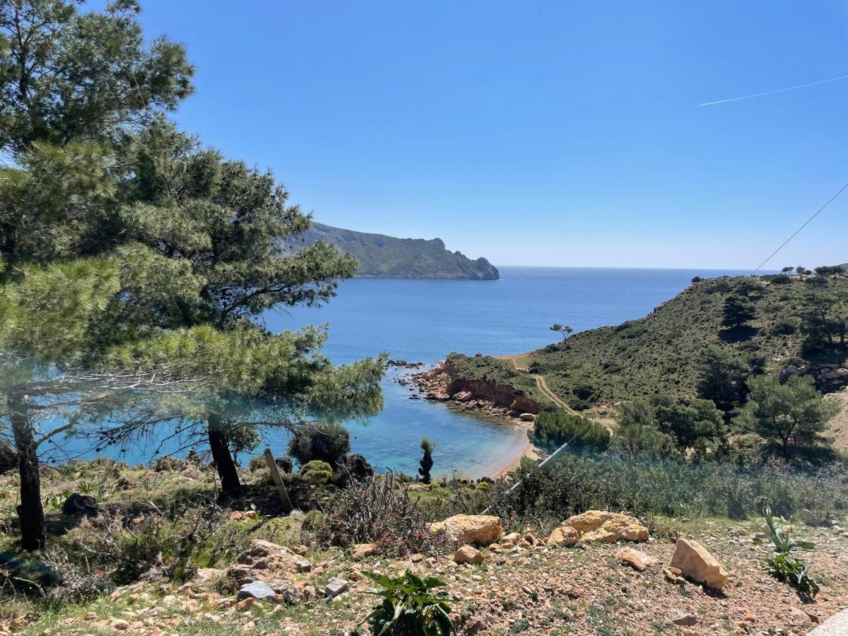 The Velanidies - Οι Βελανιδιές Agia Marina  Esterno foto