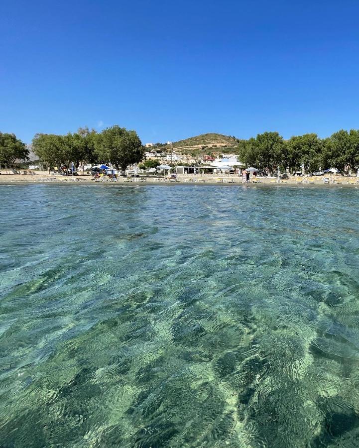 The Velanidies - Οι Βελανιδιές Agia Marina  Esterno foto