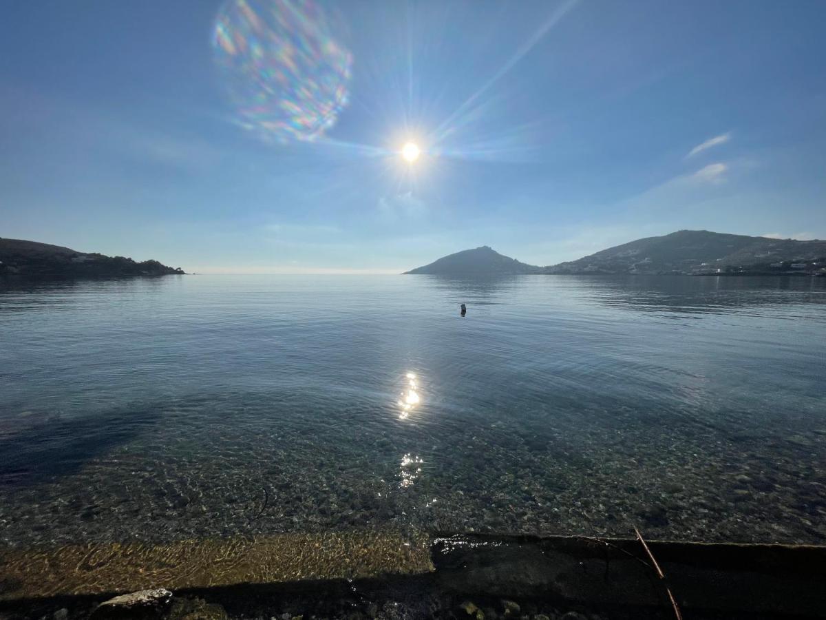 The Velanidies - Οι Βελανιδιές Agia Marina  Esterno foto