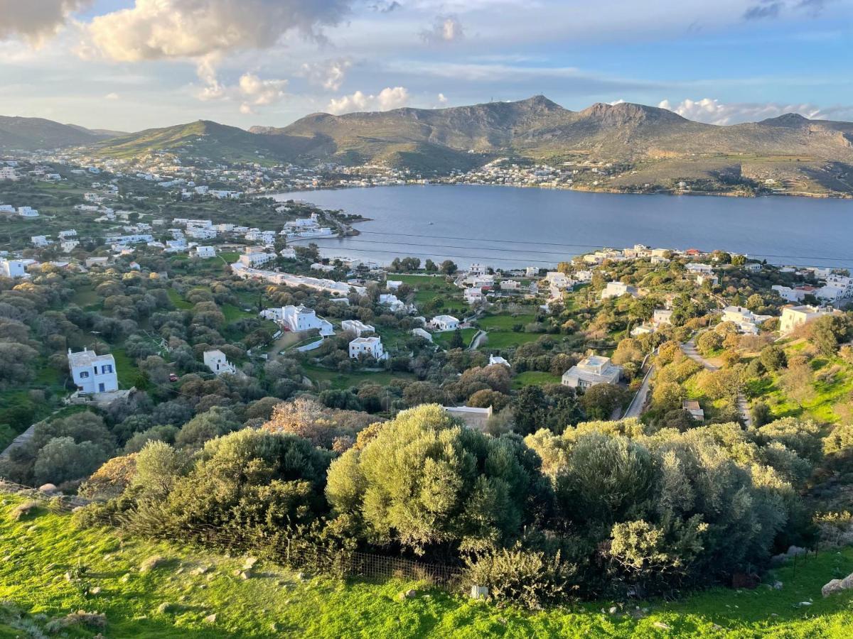 The Velanidies - Οι Βελανιδιές Agia Marina  Esterno foto