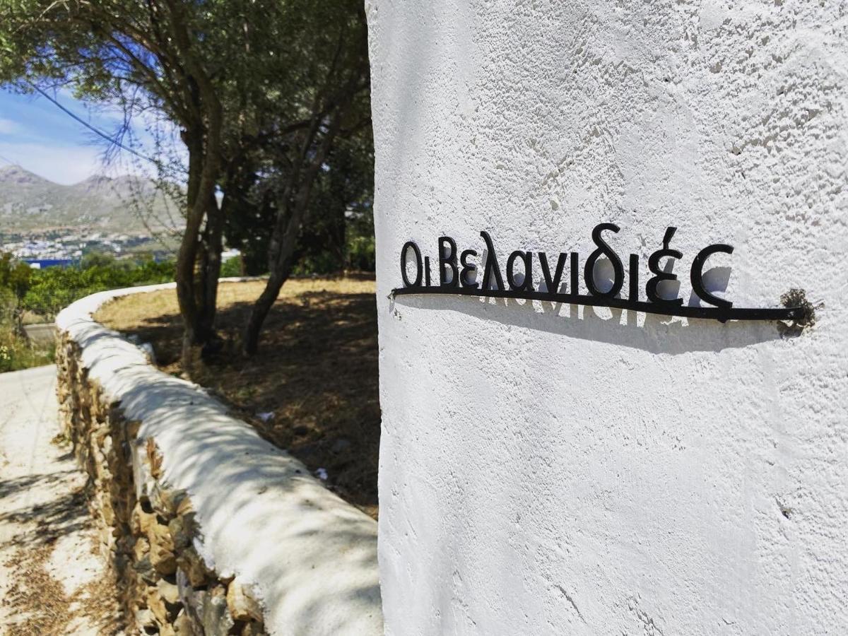 The Velanidies - Οι Βελανιδιές Agia Marina  Esterno foto