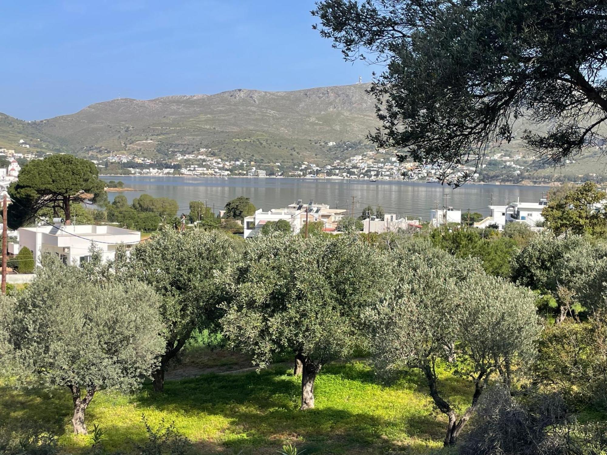 The Velanidies - Οι Βελανιδιές Agia Marina  Esterno foto